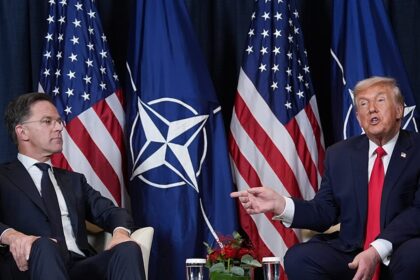 NATO allies unaware of Greenland deal details so far – Spanish FM