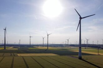 ‘We need competitive bidding for clean power’ – wind industry leader