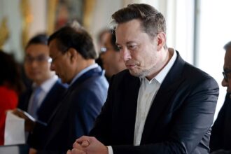 EU Commission examines childlike sexual images created by Musk’s AI