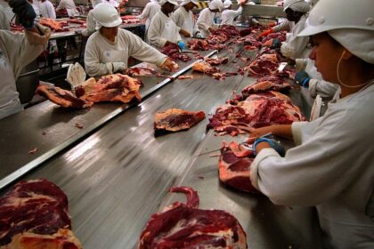 Will the Mercosur agreement really bring ‘toxic’ food to our plates?