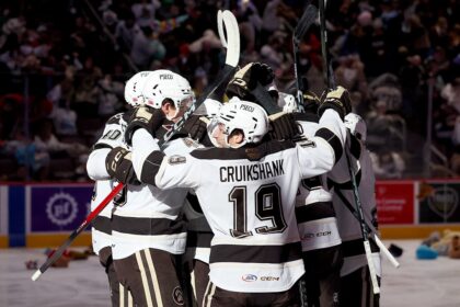 Wild brawl erupts during youth hockey showcase at minor league game