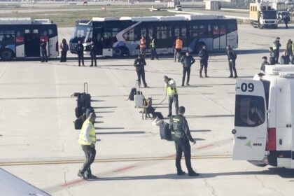 Passenger’s Wi-Fi name triggers bomb scare, forces Turkish Airlines emergency landing