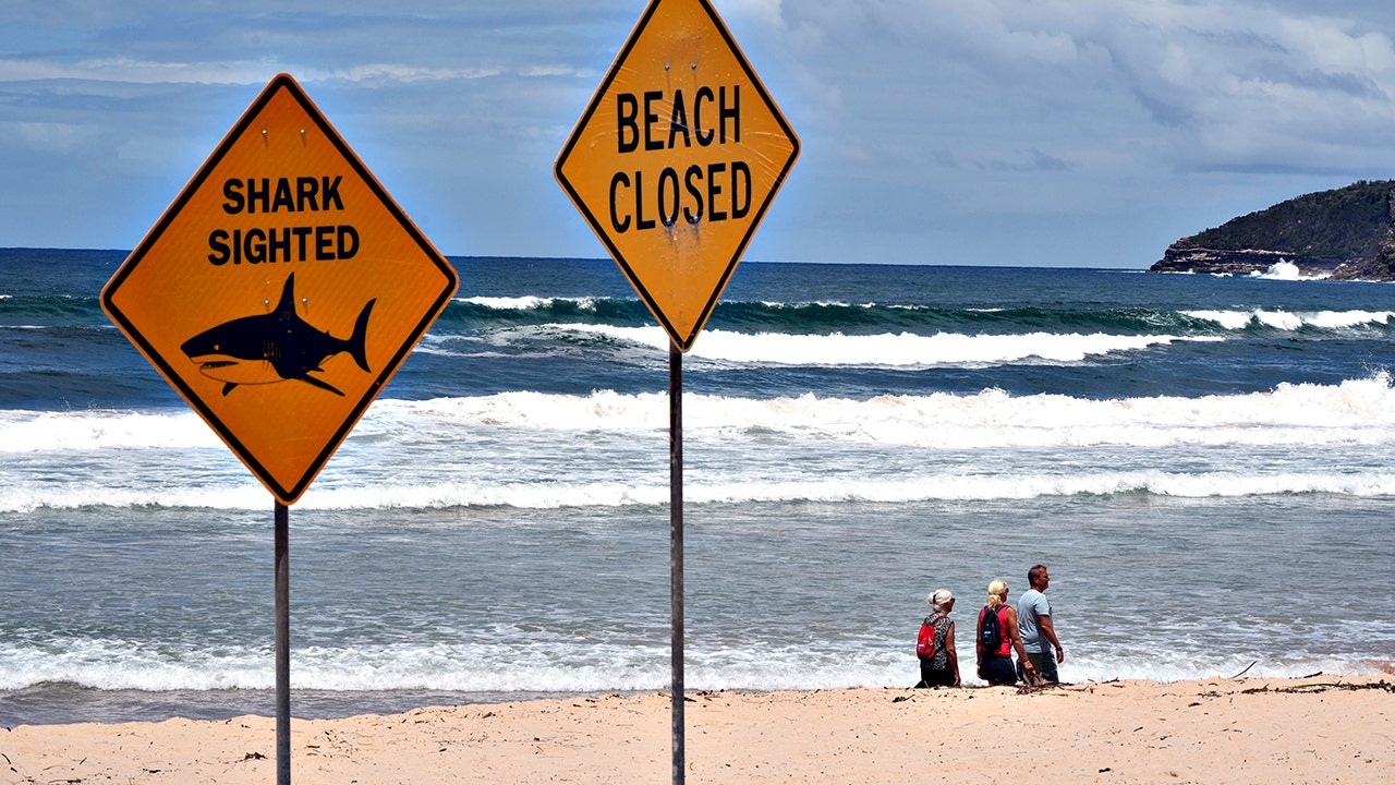 Fourth shark attack in three days rocks Australia as authorities close beaches and deploy drumlines