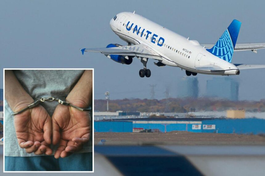 United Airlines passenger slugs flight attendant in face after claiming he’s in a ‘simulation’