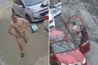 Near-naked bandit — wearing nothing but a tablecloth — arrested for string of alleged car robberies