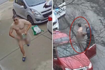 Near-naked bandit — wearing nothing but a tablecloth — arrested for string of alleged car robberies