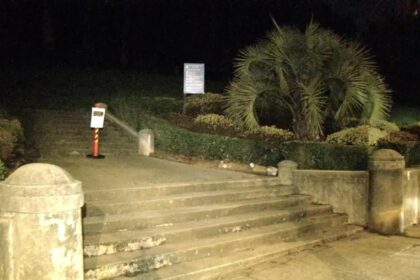 Mountain lion sightings put San Francisco’s posh Pacific Heights on high alert