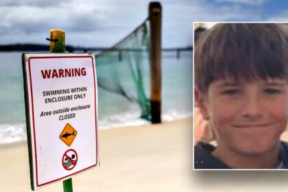 Boy, 12, dies after shark attack while swimming at popular cliff-jumping spot: ‘We are heartbroken’
