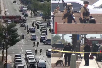 Arizona Supreme Court building evacuated after package tests positive for explosives