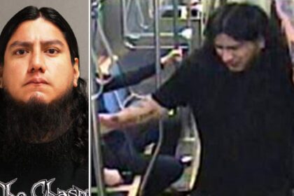 Man accused of nearly beating Chicago train passenger to death walks free with no prison time: report