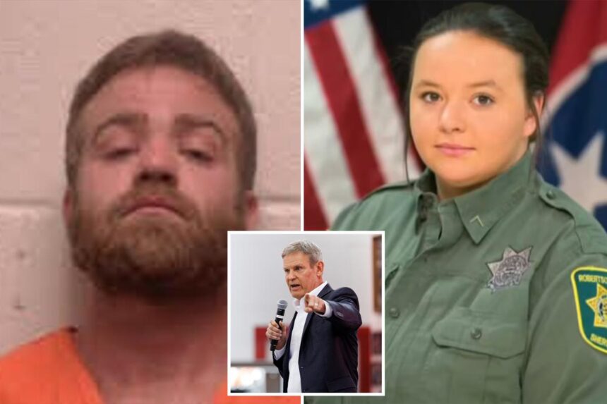 Tennessee launches country’s first public database tracking domestic abusers