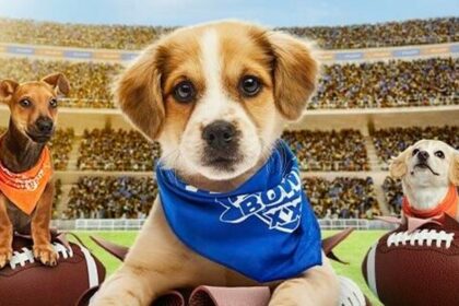 Puppy Bowl 2026: How to Watch and Stream the Furry Showdown