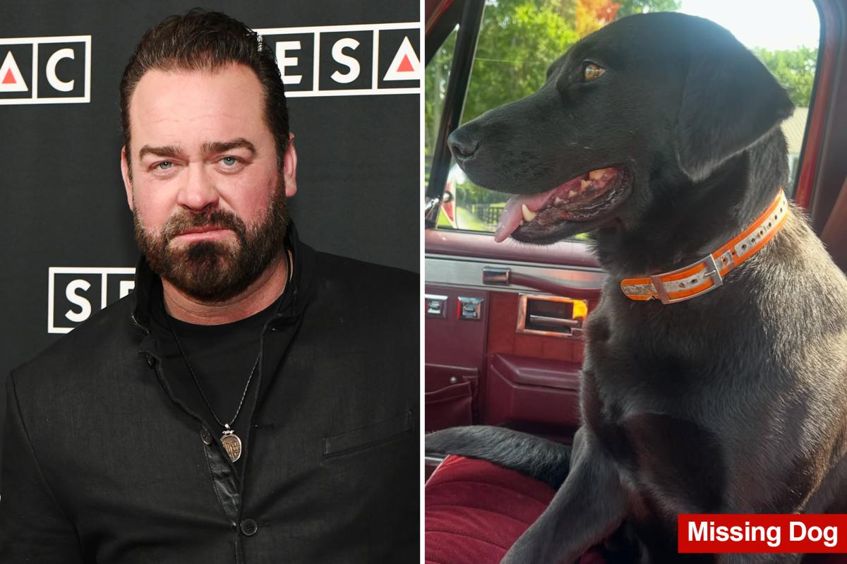Grammy-nominated country singer Lee Brice begs for help in search for family’s lost pregnant dog