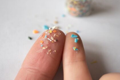 Accidentally Eating Plastic? 8 Common Foods That Are More Likely to Contain Microplastics