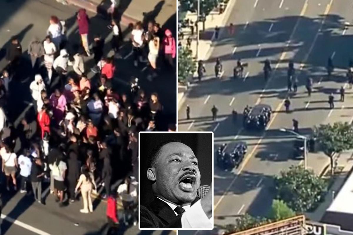 Brawl breaks out at LA’s MLK Day Parade, person possibly stabbed