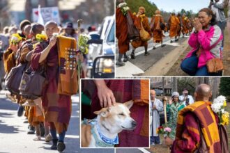 Buddhist monks — and their pup — persist in peace walk across US despite injuries