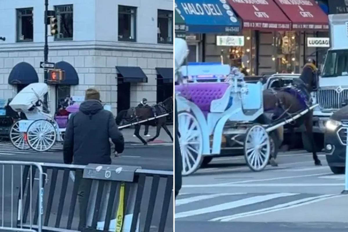 Wild video shows spooked NYC carriage horse running into Midtown traffic: ‘Reckless endangerment’