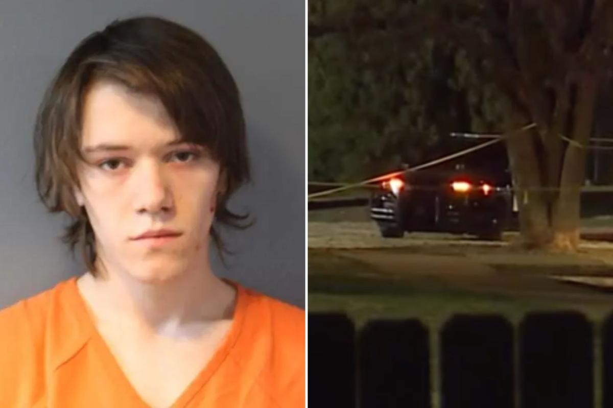 Brother killed after teen becomes ‘enraged’ over video game, stabs sibling: police