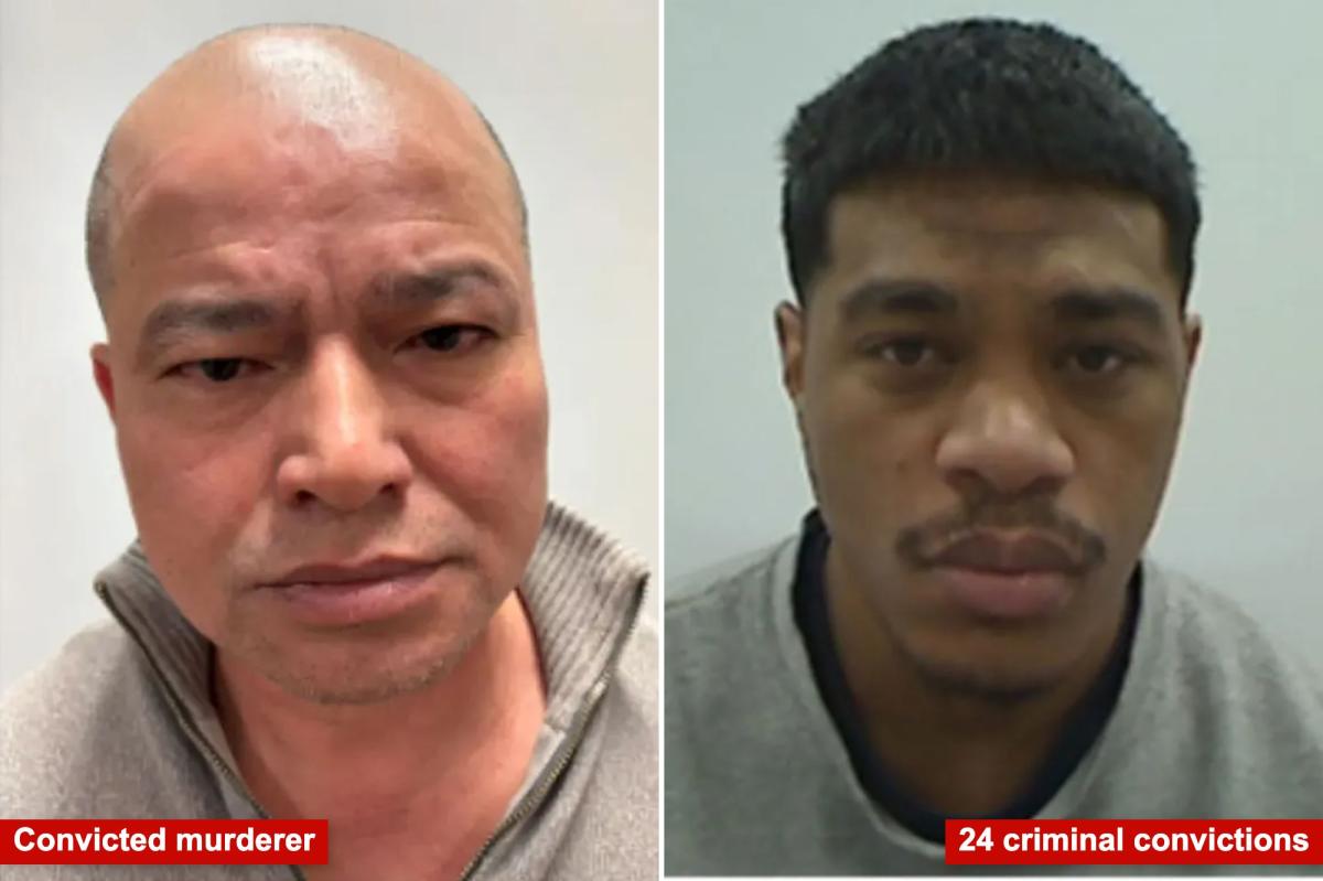 ‘Worst of the worst’ illegal migrants busted by ICE in Minneapolis include murderer, man with 24 convictions