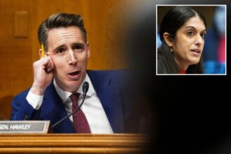 Josh Hawley skewers doc who refuses to answer:  ‘Can men get pregnant?’