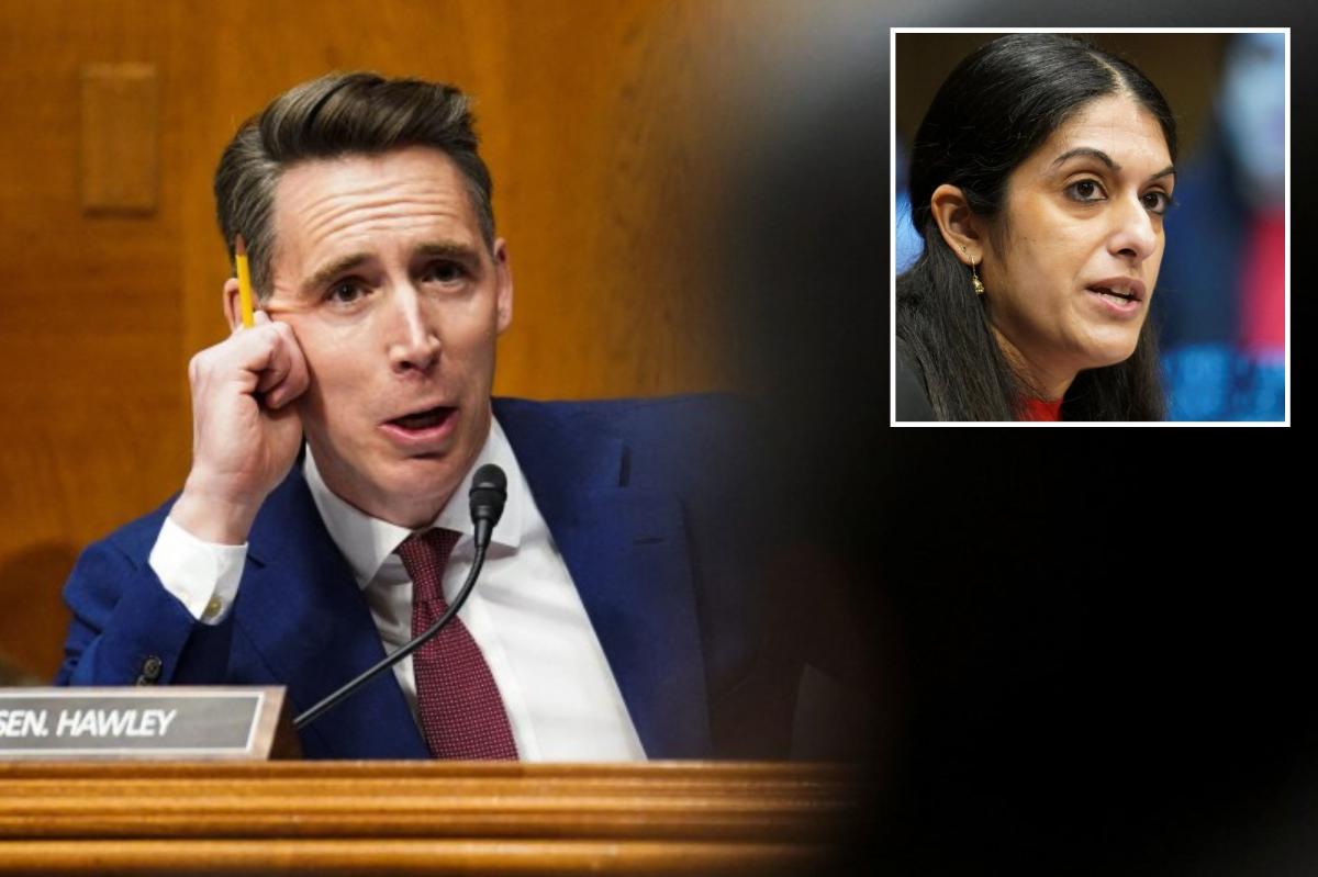 Josh Hawley skewers doc who refuses to answer:  ‘Can men get pregnant?’