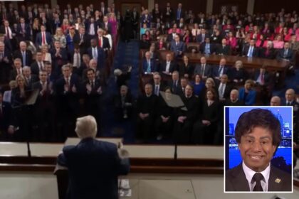 Democrat Rep. Shri Thanedar slammed for staying seated during Trump speech honoring victims’ families