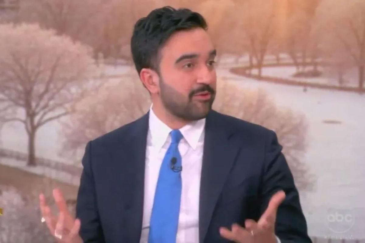 Mamdani calls to abolish ICE in gushing interview on ‘The View’