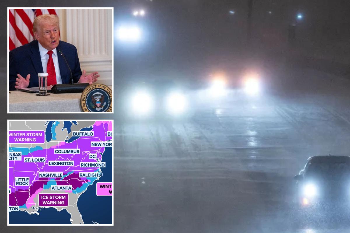 Trump says FEMA is ‘fully prepared’ for Winter Storm Fern as over 9,000 flights are canceled