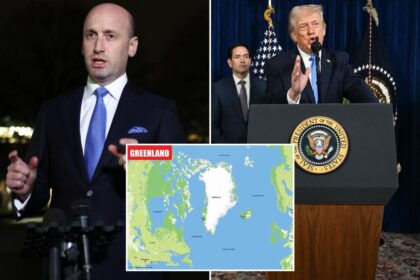 Stephen Miller dismisses the idea Denmark would fight for Greenland, claims it should be part of the US