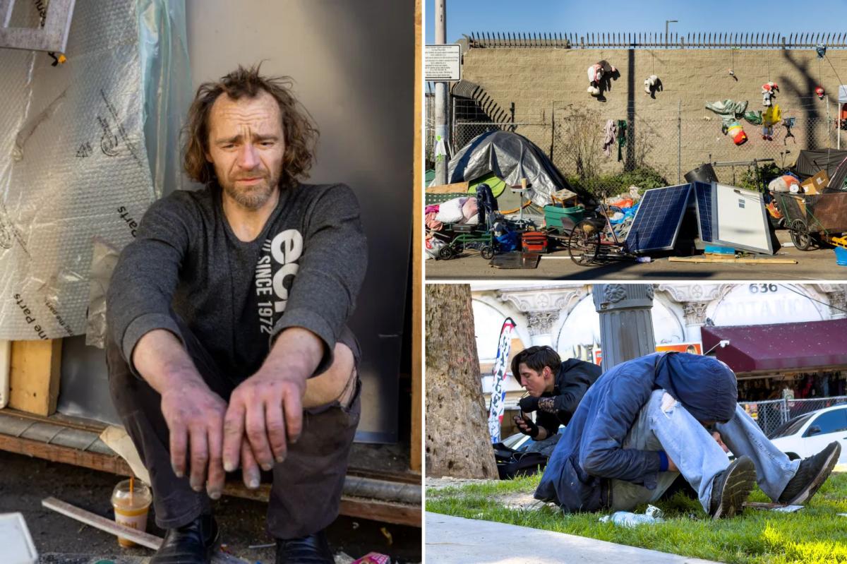 Frightening reality of California’s homeless epidemic laid bare as disease outbreak could threaten LA