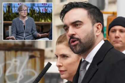 Zohran Mamdani’s team treating NYC businesses as ‘the enemy’ in early goings, top leader says