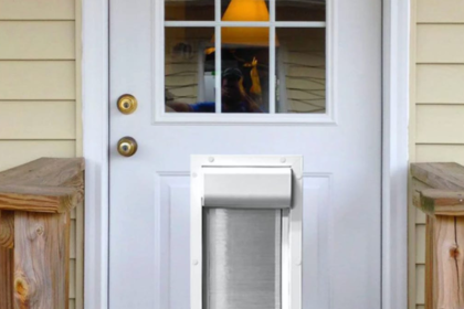 This Automatic Smart Pet Door Only Lets In Your Dog or Cat