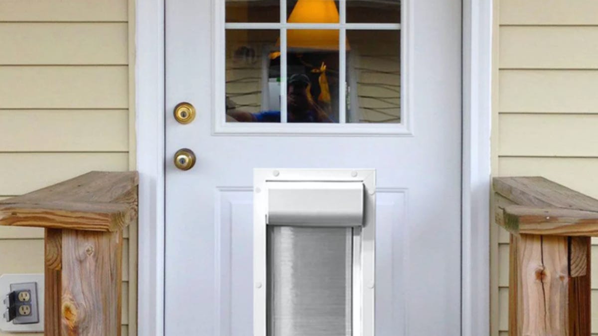This Automatic Smart Pet Door Only Lets In Your Dog or Cat