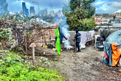 Seattle order to stop drug arrests ‘creating havoc’ for people fending off addicts surviving on theft: expert