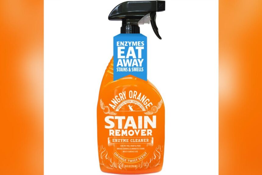 More than 1.5 million bottles of popular stain remover recalled for bacteria risk