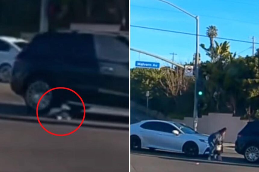 Heart-stopping moment toddler is nearly run over after falling from moving car — as viral footage leads to mother’s arrest