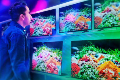 TV Shoppers Want Big Screens and the Best Pictures, but Their Budget May Not Cut It, CNET Finds