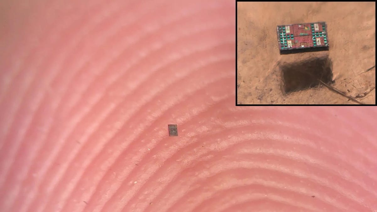 These Tiny Robots Are Smaller Than Grains of Salt and Can Think, Move and Swim