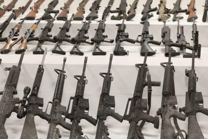 Should the EU grow its gun industry, or regulate it more?