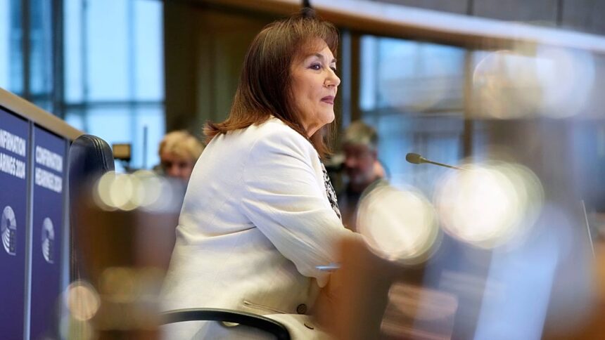 France says Commission lacks “mandate’ to join Board of Peace meeting