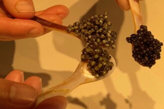 Taste of Europe: ‘World’s first organic caviar’ savours new markets