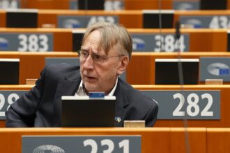 Newsletter: Top trade MEP wants written US commitment to EU trade deal