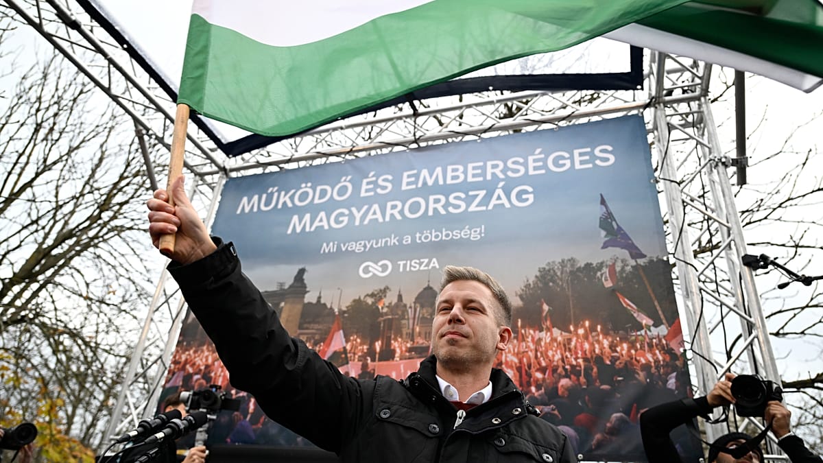Hungary’s opposition leader Magyar promises greater privacy protection