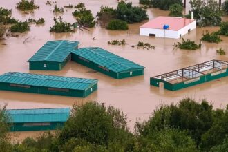 EU countries ‘need to urgently coordinate’ to adapt to climate change