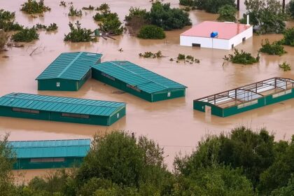 EU countries ‘need to urgently coordinate’ to adapt to climate change