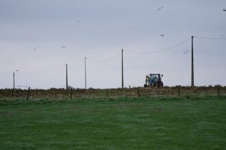 EU long-term agriculture budget has monitoring flaws, auditors warn