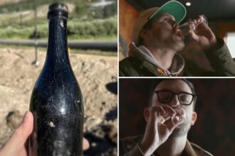 Alcohol experts drink 150-year-old bottle of booze found in old mining town: ‘You have to try it’