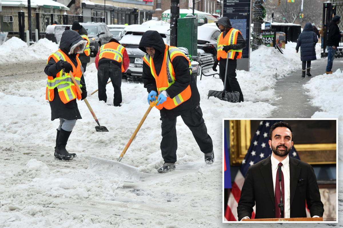 Exclusive | Mamdani failed to recruit enough emergency snow shovelers for storm: critics