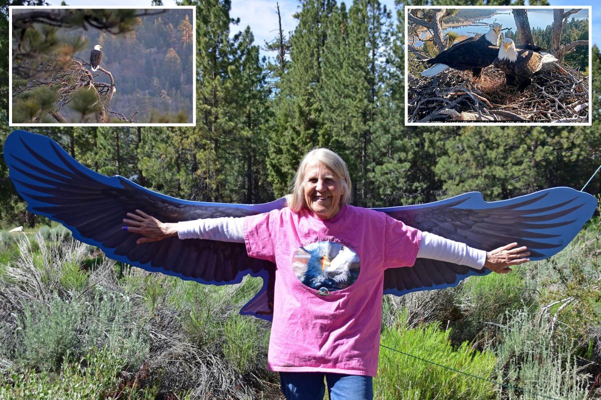Voice of famed Big Bear bald eagle cam tragically passes away after delighting viewers for a decade