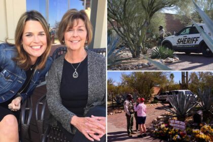 Sheriff in Nancy Guthrie search expects ‘lot of police activity’ — as neighbor of raided home reveals who lives there